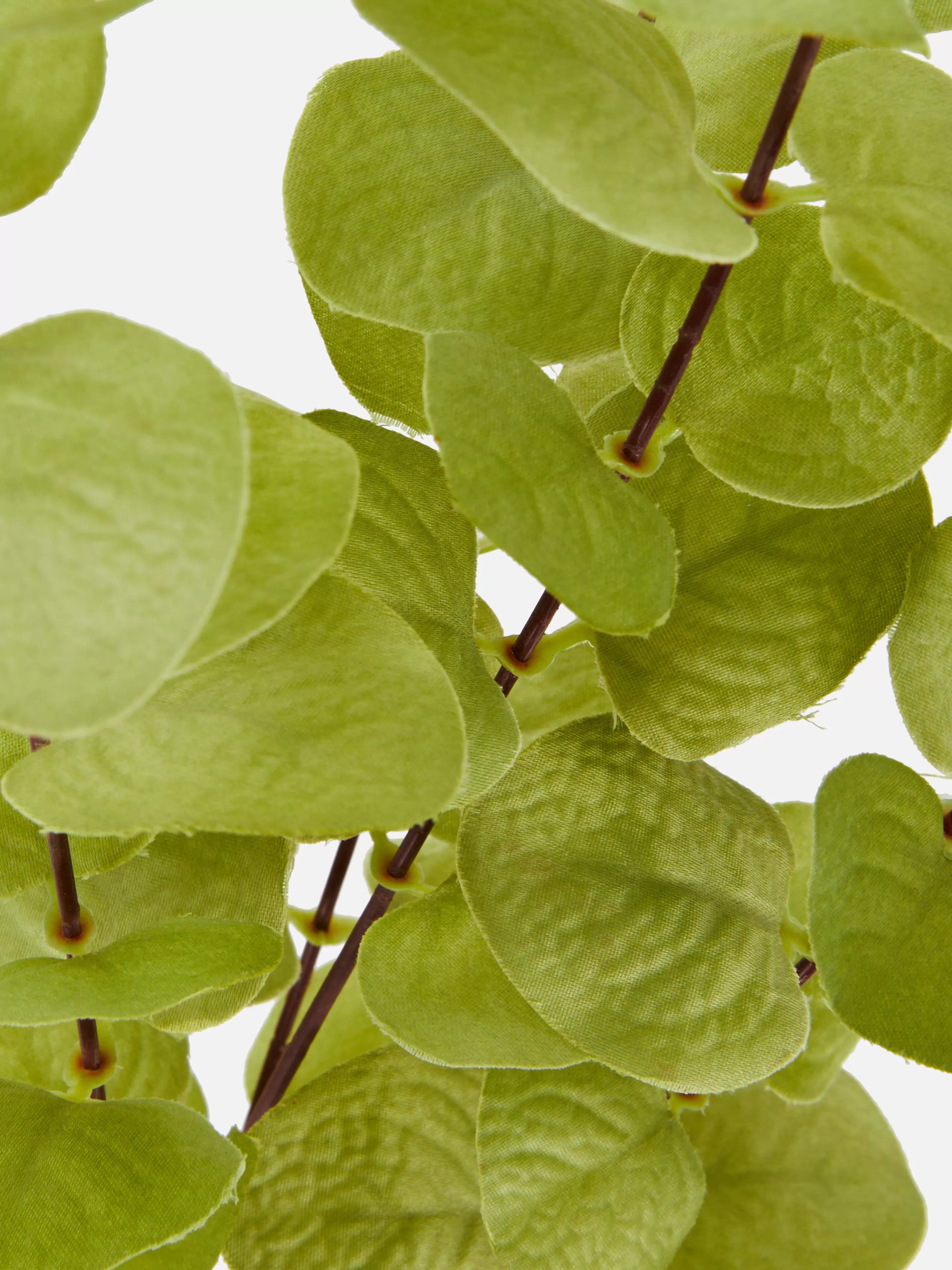 Flores E Plantas Artificiais*Primark Eucalipto Artificial De Haste única Verde