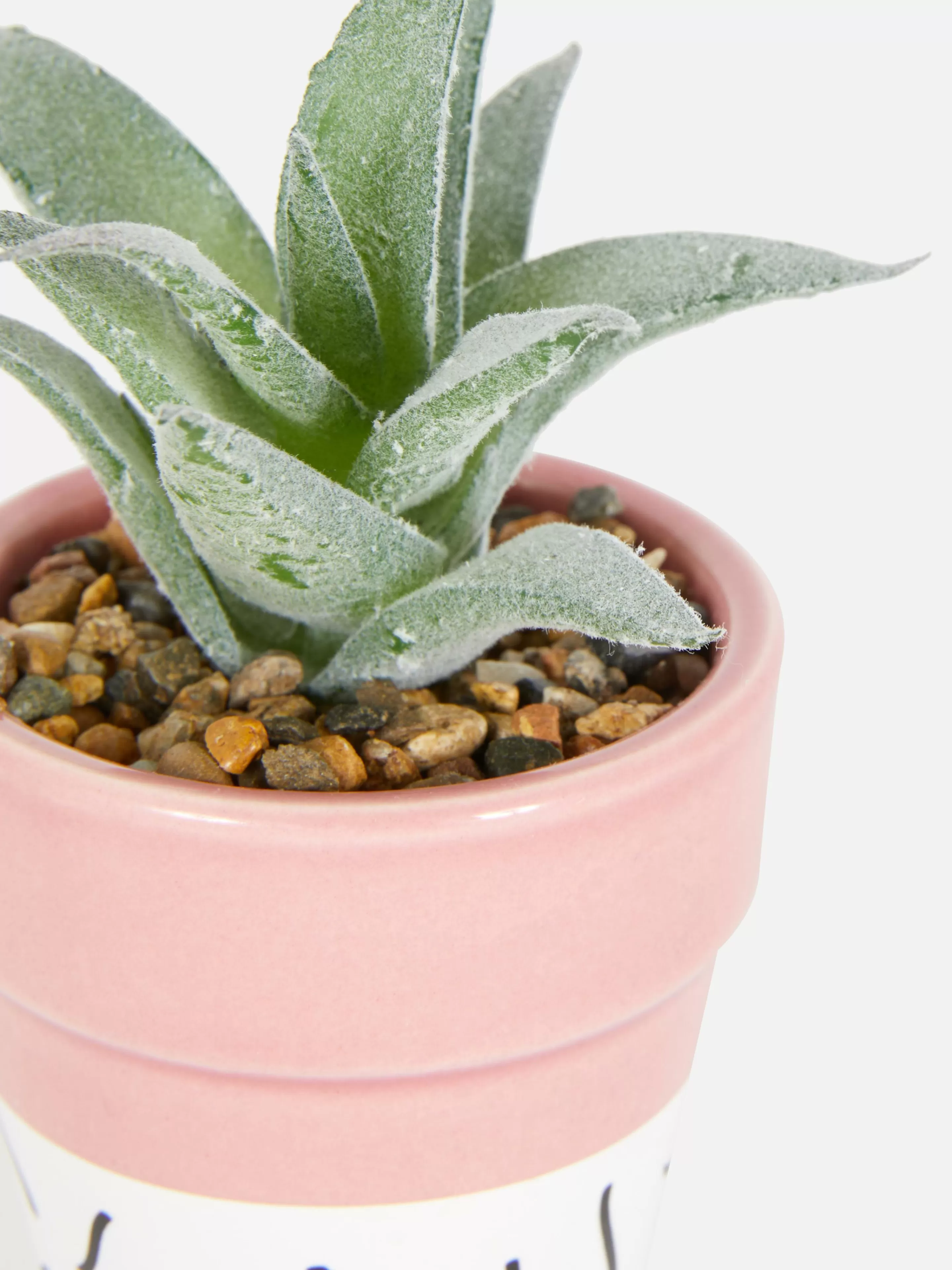 Flores E Plantas Artificiais*Primark Suculenta Artificial Em Vaso Colorido Cor-de-rosa