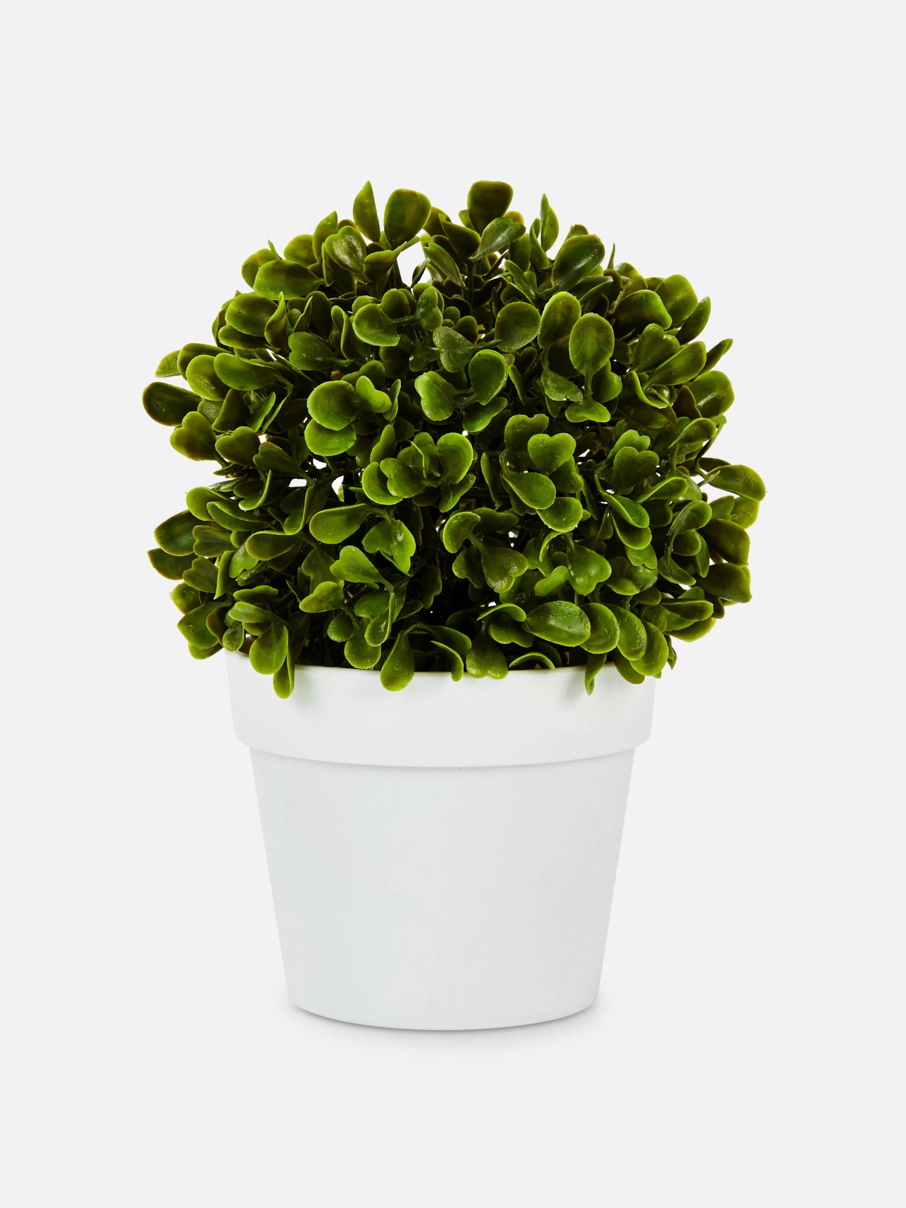 Flores E Plantas Artificiais*Primark Suculenta Artificial Vaso Branco